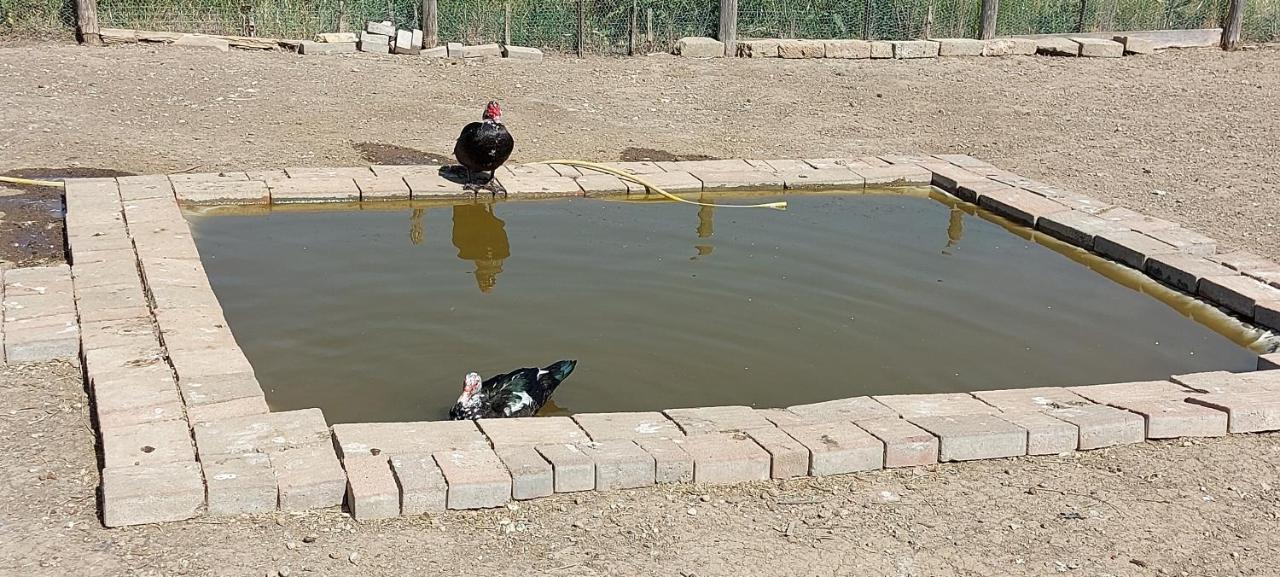 Villa Klinai Cerveteri Luaran gambar