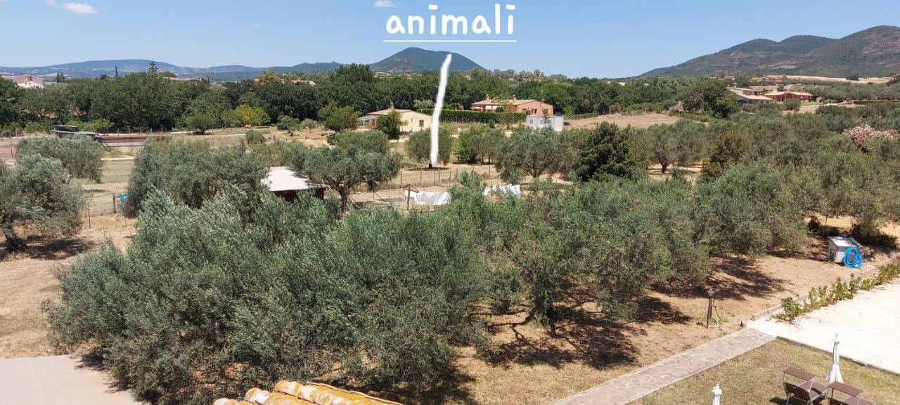 Villa Klinai Cerveteri Luaran gambar