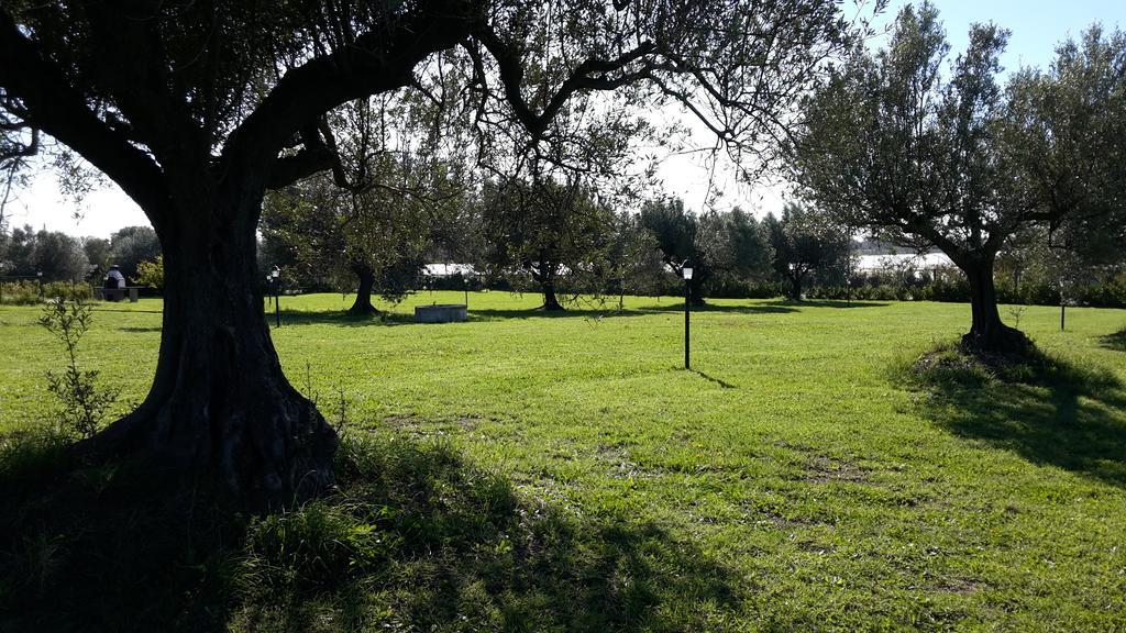 Villa Klinai Cerveteri Luaran gambar